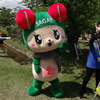 2013年を振り返る(ウオーキング編)