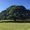 Hawaiiを思い出すためのつらつら投稿③