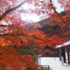 京都の穴場紅葉　西山エリアの善峯寺と光明寺