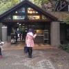 老若男女楽しめる東京にある緑あふれる公園「井の頭恩賜公園&井の頭自然文化園」