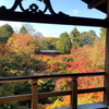 東福寺の紅葉のお話2。