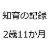 知育の記録を振り返ってみました。2016年10月、娘2歳11か月。