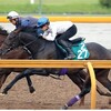 指名馬情報:牡馬第5位
