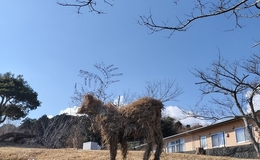 記事を見る