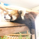 Kボーイの日記