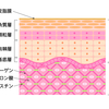 ジャグアタトゥーを長持ちさせるコツとポイント