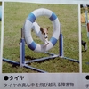 これはみ～ちゃん？