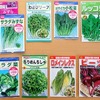 色々な種を混ぜ合わせて自分専用のサラダミックスを作りました。アブラナ科系とレタス系の2種類を育てます