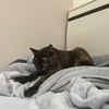 おねえちゃんの３連休。