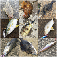 魚種限定解除の名竿インプレ【TR93PEスペシャルhouri】スーパーライト