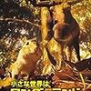 【おすすめ傑作選◉映画】　『小さな世界はワンダーランド』　by BBC EARTH