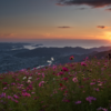 📷感動の天空のコスモス畑！愛犬🐾と楽しむ標高586mからの眺望 