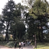 なにげな一葉／日比谷公園