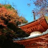 【大阪府 2024年版】秋の絶景・風物詩10選
