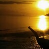 バンタヤン島で暮らす～夕日が海に沈む、黄金のたそがれ時