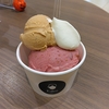 E.den Gelatoのビオレソリエス（黒いちじく）＠札幌三越