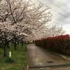 山田池公園　にわか雨ラン