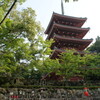 四国霊場 第三十一番 竹林寺 ( 2009-05-11 )　31