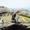 PT 　吾妻山に行こう！（2017年4月15日）