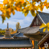 韓国のお寺おすすめ4選！観光で行くべき寺院完全ガイド
