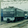 1991年頃の新鶴見機関区　部内の一部で「恥ずかしいカマ」と呼ばれた試験塗装【１】