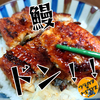【実践】スーパーの激安輸入鰻をおいしく食べる方法【常識】