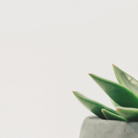 エッセイの師匠４【食べる／ドリアン助川】