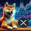 Santimentのオンチェーン分析：Shiba Inu（SHIB）とXRPが強気の形成を示す
