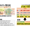 コンストラクタル法則　「生物・無生物を問わず、すべてはより良く流れるかたちに進化する」