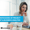 Excel the professions of Project Management & Business Analysis