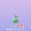 ポケモンGOコミュニティ･デイ-ナエトル-