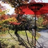 １１月２６日　松花堂庭園・美術館へ