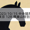 2023/10/15 中央競馬 東京 12R 鷹巣山特別
