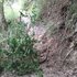 ハイキング　実践編