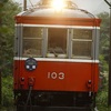 雨の日曜日　箱根登山鉄道103-107編成　