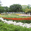  実走！名古屋RUNコース 12「千種公園」。