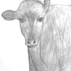 黒い牛を描いてみた I drew black cow