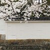 南禅寺と哲学の道、そして高野川へ