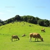 古墳が里山！里山を守る！