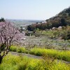 唐沢城址と桜峠 概要編