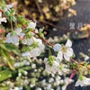 朝んぽから始まる充実デー