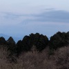 今朝の景色
