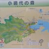 小網代の森散策！