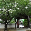 兵庫県加古川市　『神吉城』