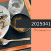 20250414