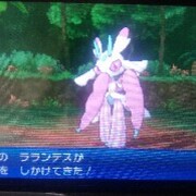 ポケモン難易度検証企画 カテゴリーの記事一覧 Haradaのポケモンブログ