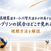 髙橋藍選手・小川智大選手所属のルブリンの試合はどこで見れる？視聴方法を解説