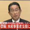 岸田総理大臣！野村農林水産大臣 汚染水発言に対して遺憾と謝罪・撤回を求める！中国の禁輸の水産事業者支援について