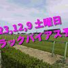 2023,12,9 土曜日 トラックバイアス予想 (中山競馬場、阪神競馬場、中京競馬場)