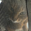 怒涛の1週間が終わる